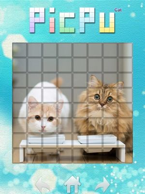 PicPu screenshot 2