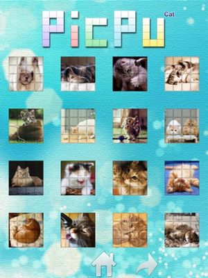 PicPu screenshot 4