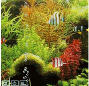 Pocket Aquarium screenshot 1
