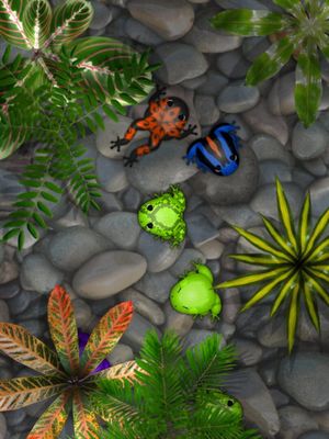 Pocket Frogs screenshot 1