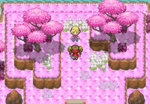 Pokémon Hidden Place screenshot 1