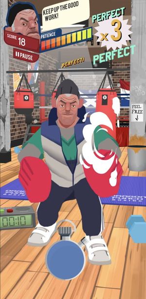 Punch Perfect screenshot 1