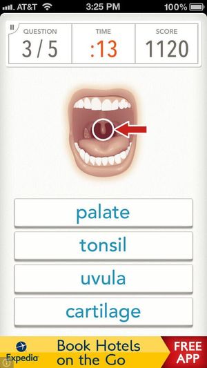 Quizzitive screenshot 4