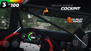 Real Rally screenshot 1
