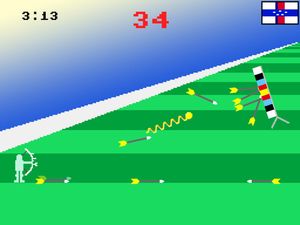 Realistic Summer Sports screenshot 4