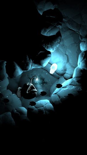 Seashine screenshot 2