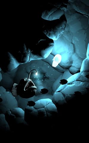 Seashine screenshot 4