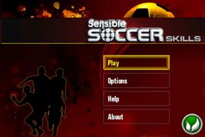 Sensible Soccer Skills screenshot 1