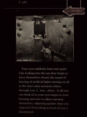 Seul Alone: The Entrée - Cyoa screenshot 4