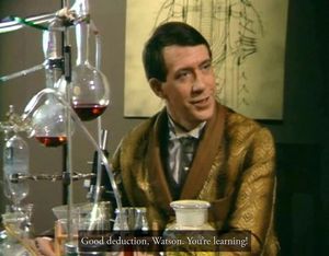 Sherlock Holmes Consulting Detective: The Case of the Mystified Murderess screenshot 3