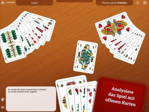 Skat screenshot 2