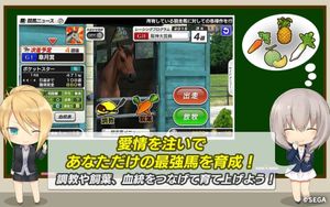 StarHorse Pocket screenshot 2