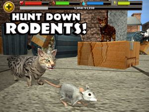 Stray Cat Simulator screenshot 2