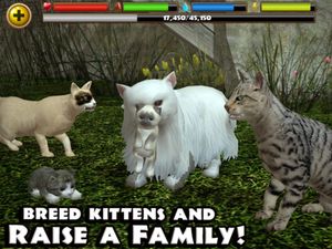 Stray Cat Simulator screenshot 3