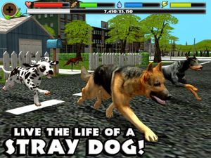 Stray Dog Simulator screenshot 1