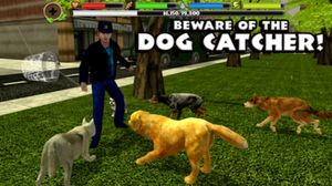 Stray Dog Simulator screenshot 4