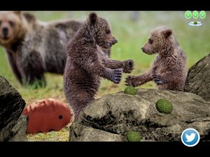 Tardigrade Planet: The Legend of the Strongest Mascot in the Universe screenshot 3