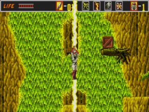 The Revenge of Shinobi screenshot 4