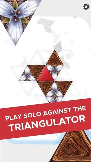 Triangul8 screenshot 1
