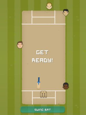 Village Cricket screenshot 1