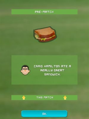 Village Cricket screenshot 2