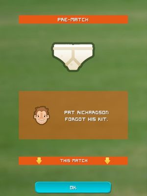 Village Cricket screenshot 3