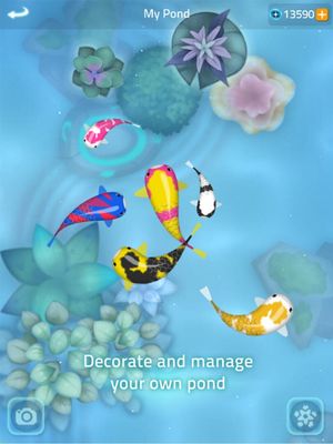 Zen Koi 2 screenshot 3