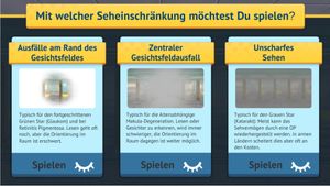 Zug in Sicht screenshot 1